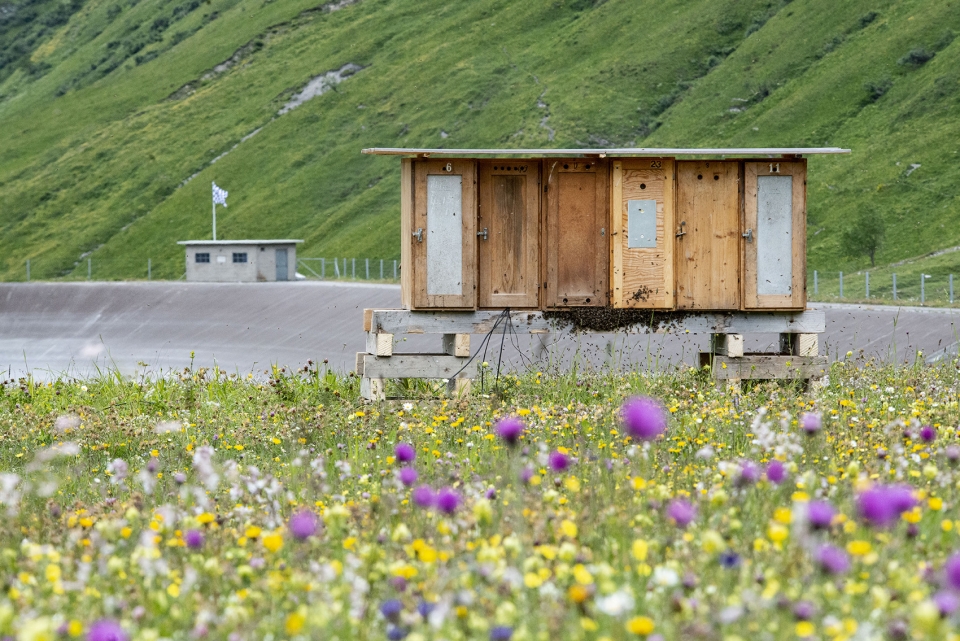 art safiental 2018 biennale for land and environmental art