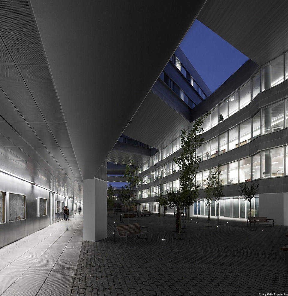 Faculty of Sciences of Education for US University Cruz y Ortiz