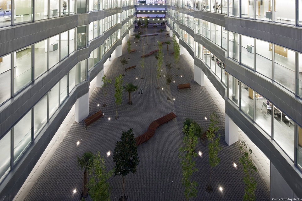 Faculty of Sciences of Education for US University Cruz y Ortiz