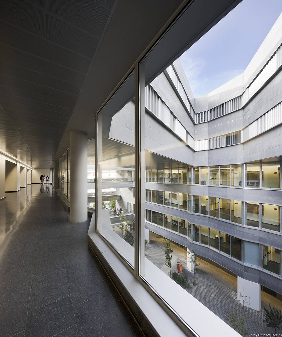 Faculty of Sciences of Education for US University Cruz y Ortiz