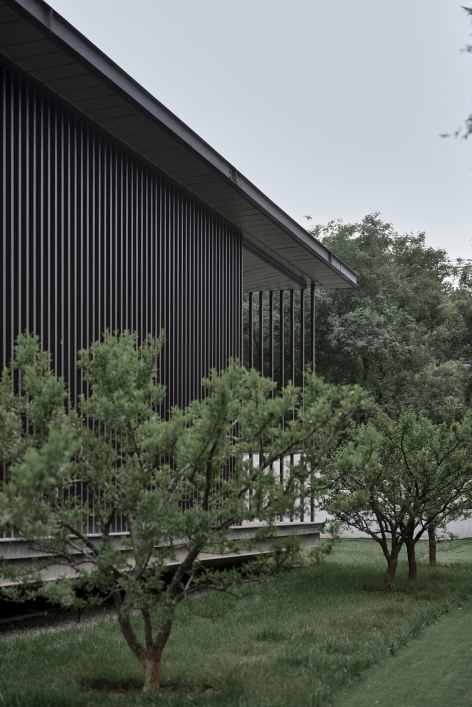 Small Wild Goose Pagoda Cultural Exhibition Center China by FANGTU