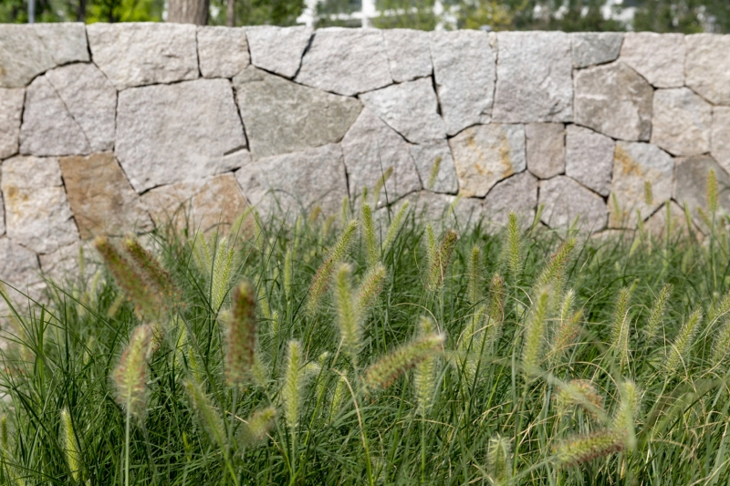 ARANYA Childrens farm China by Z T STUDIO
