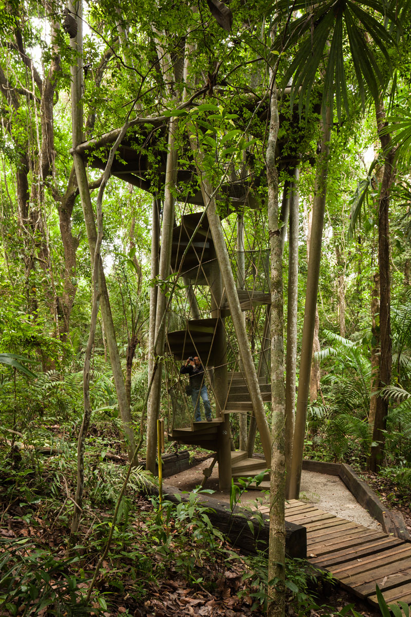 Panama Rainforest Discovery Center And Observation Tower by Patrick Dillon