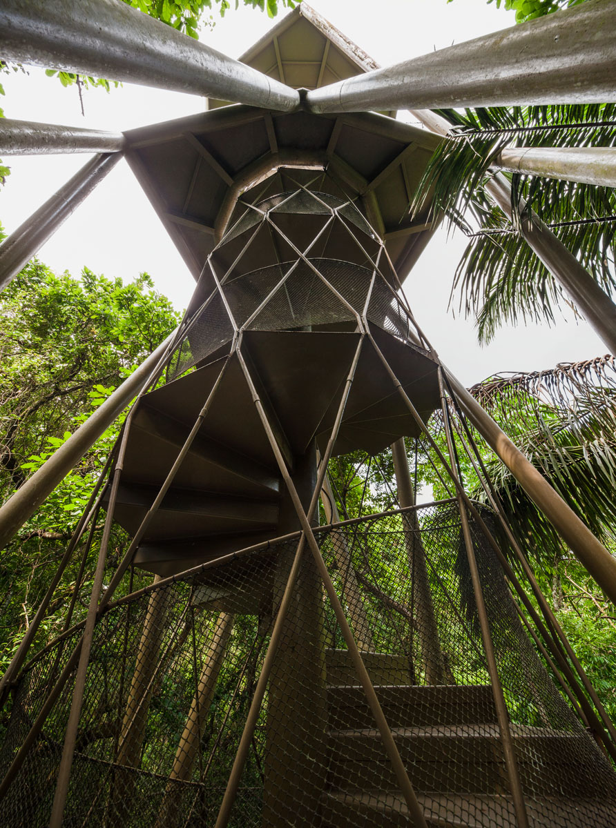 Panama Rainforest Discovery Center And Observation Tower by Patrick Dillon