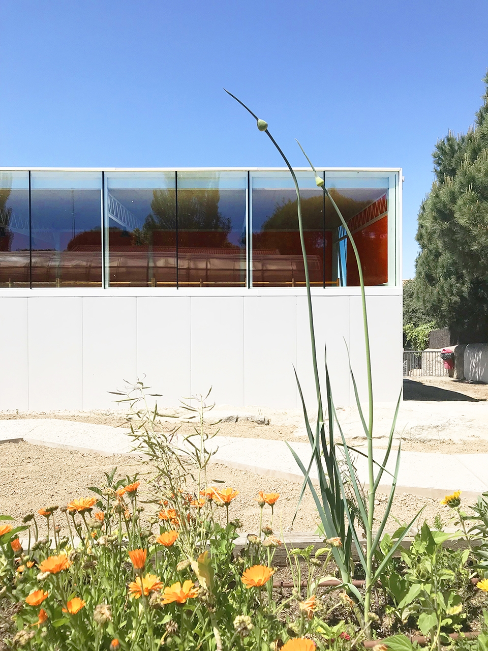 colegio nuestra senora de lourdes by picado de blas arquitectos