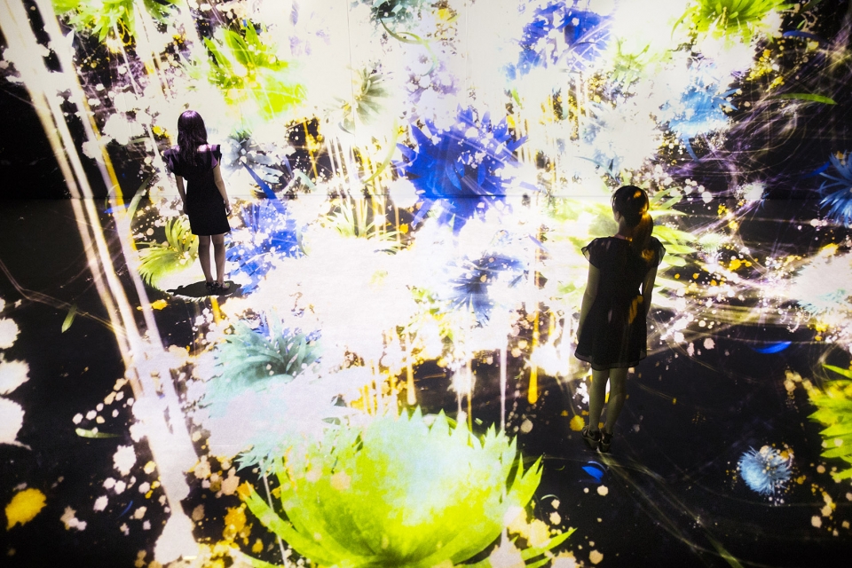 gooood interview aki hamada teamlab project3