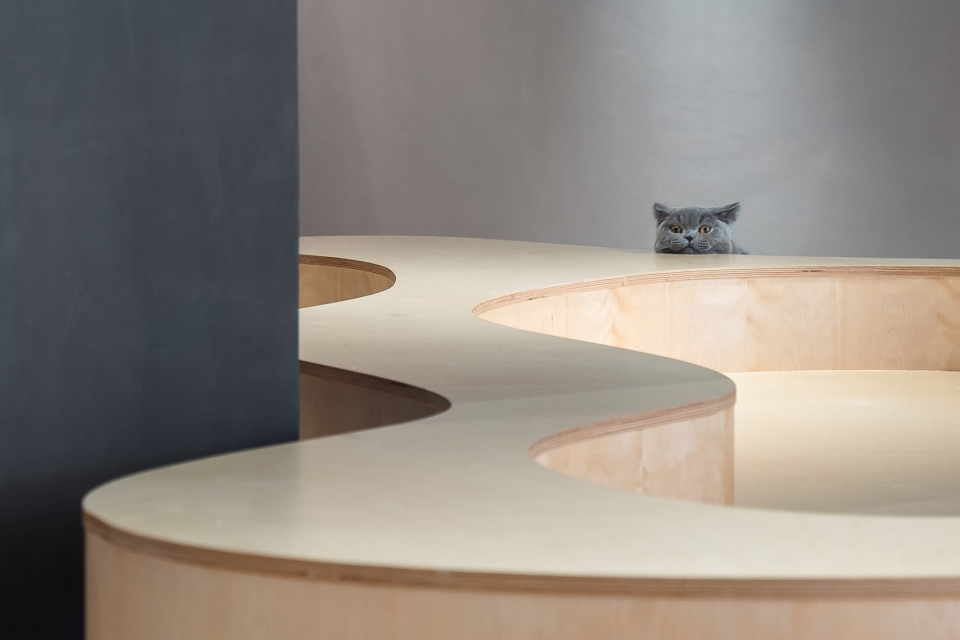 猫视角梯田 Meow Restaurant E Studio