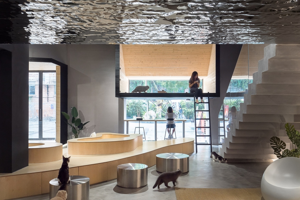 多功能活动区 Meow Restaurant E Studio