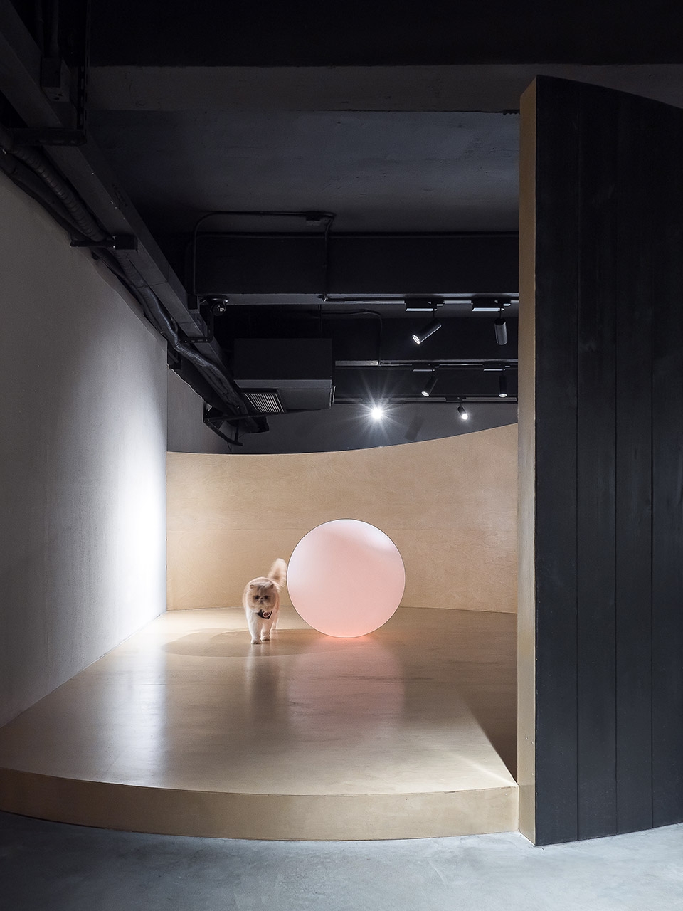 二楼包厢 Meow Restaurant E Studio