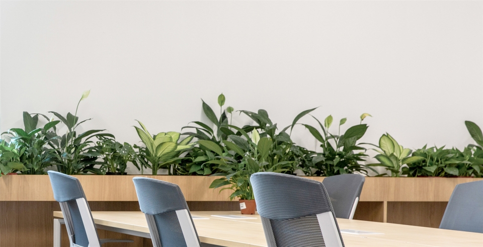 hongyue e commerce office china by hangzhou ssdesign