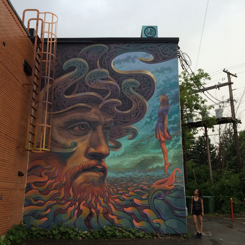 street murals by wild drawing