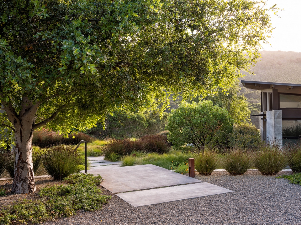 Butterfly House by Feldman Architecture