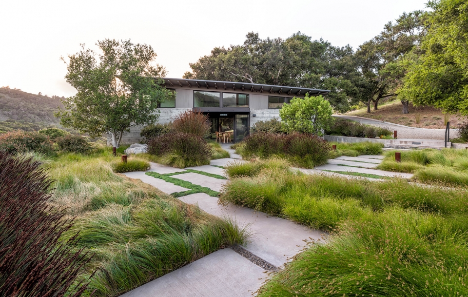 Butterfly House by Feldman Architecture
