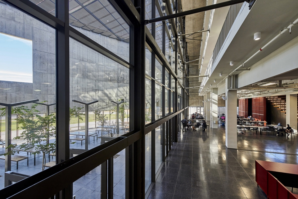 sol plaatje university by designworkshop