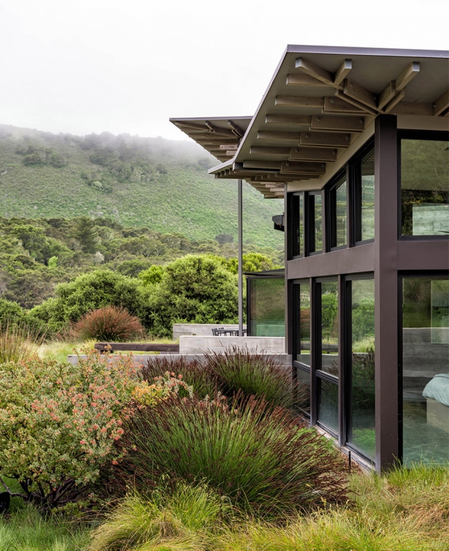 Butterfly House by Feldman Architecture 1