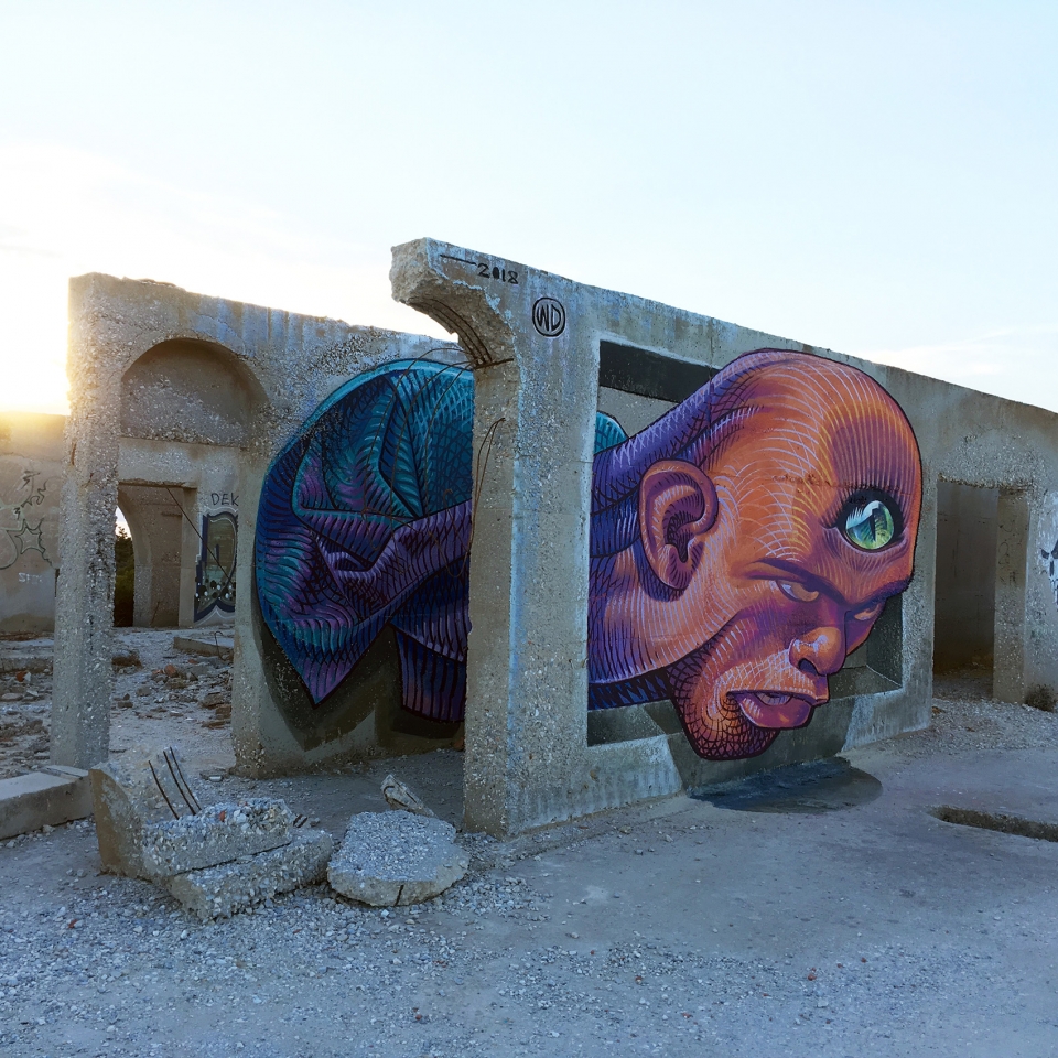 street murals by wild drawing
