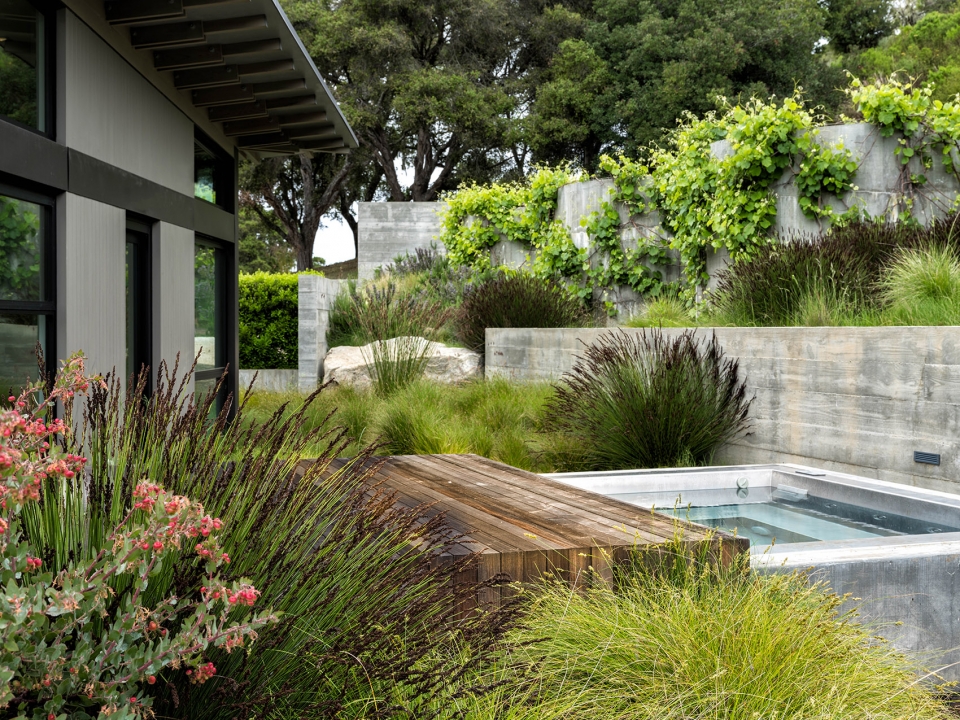Butterfly House by Feldman Architecture