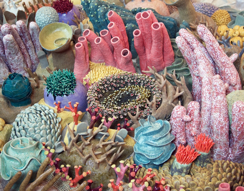 confluence our changing seas v by courtney mattison