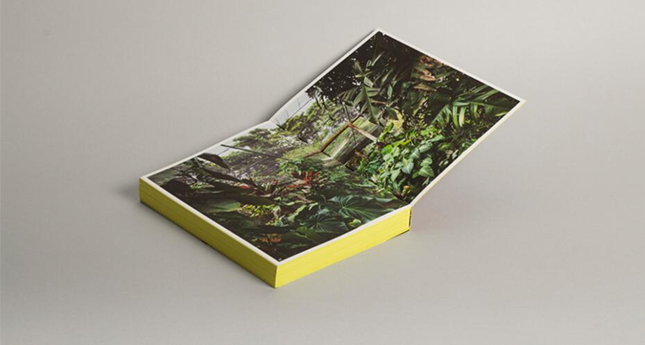roberto burle marx lectures landscape as art and urbanism gooood book