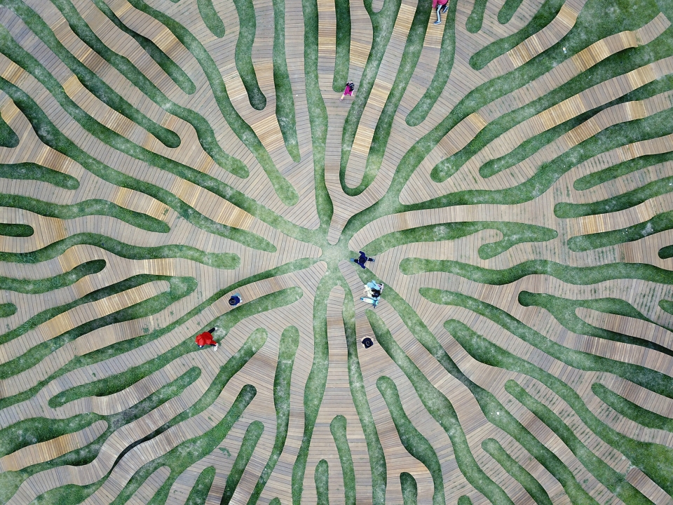 root bench by yong ju lee architecture 019