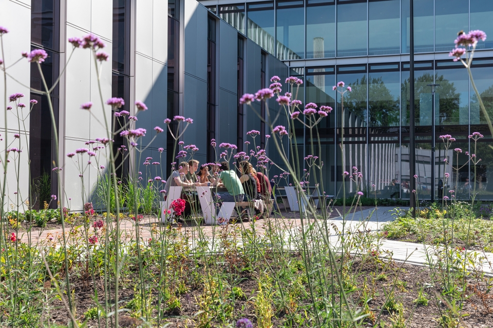 beta campus university of leiden by inbo