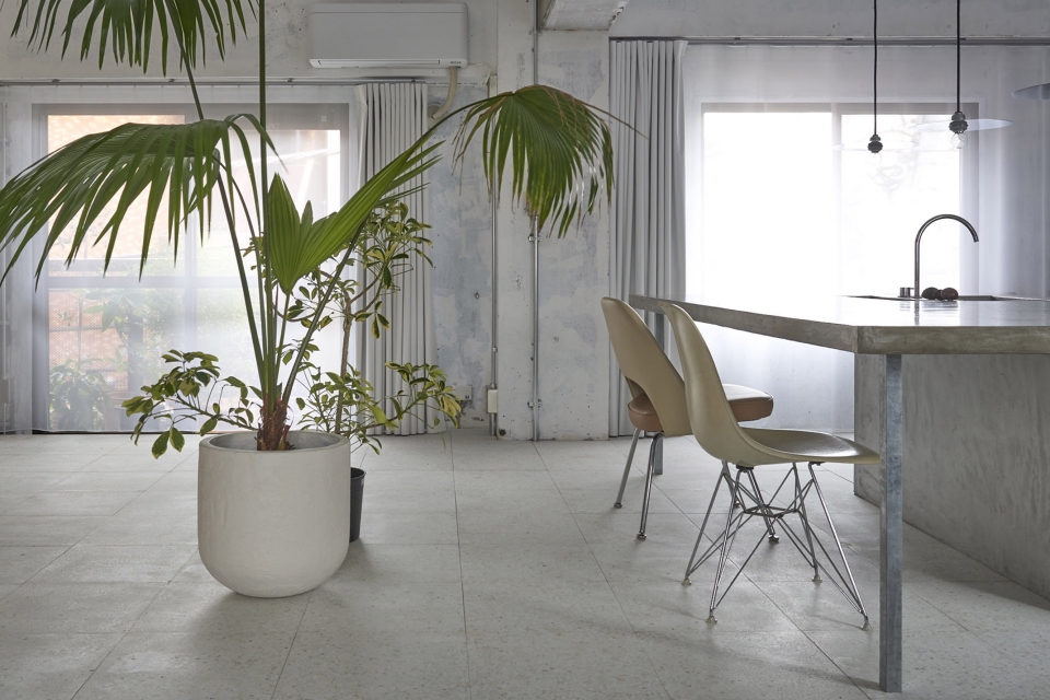 house of wind and light by office shogo onodera
