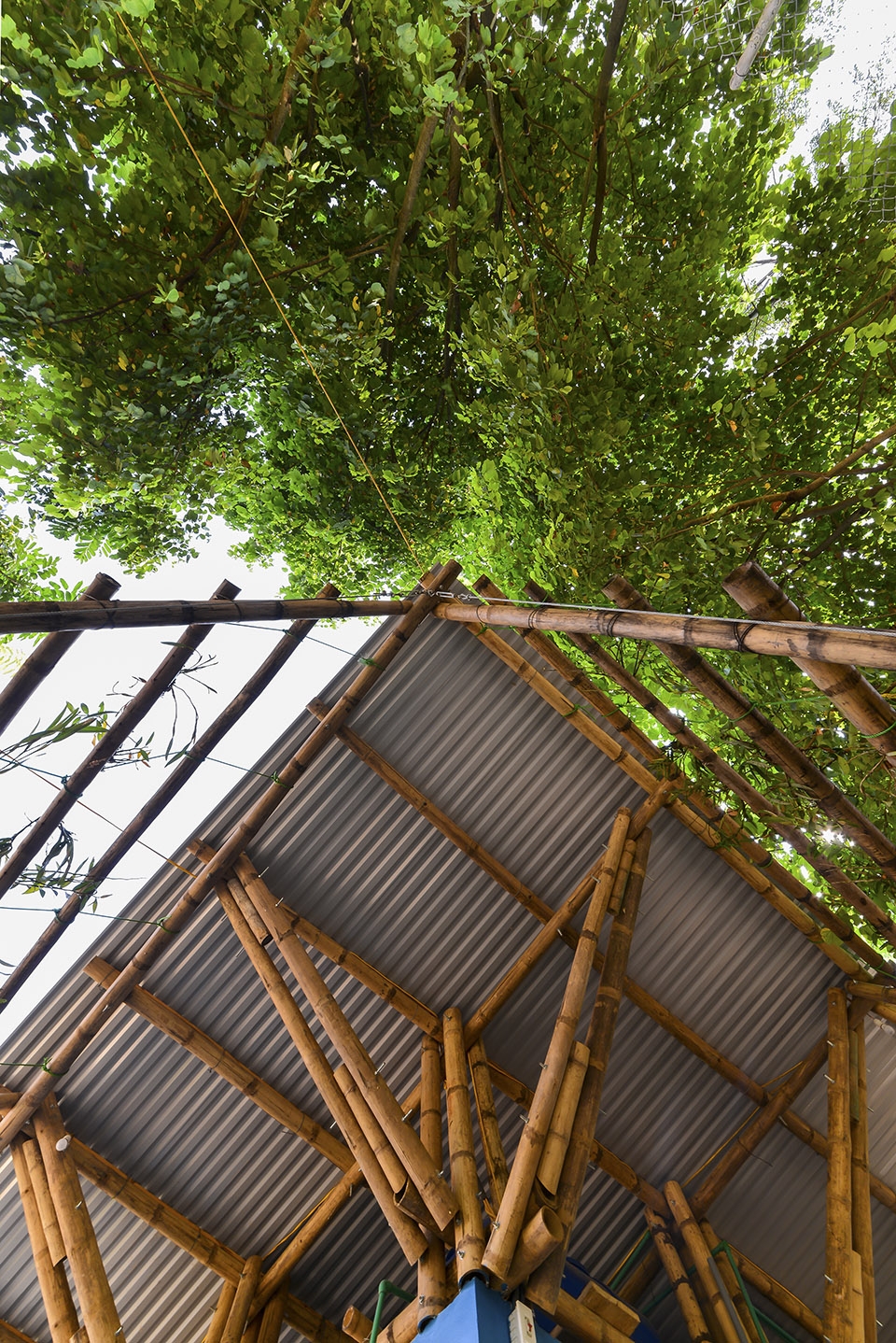 toigetation 2 by hp architects