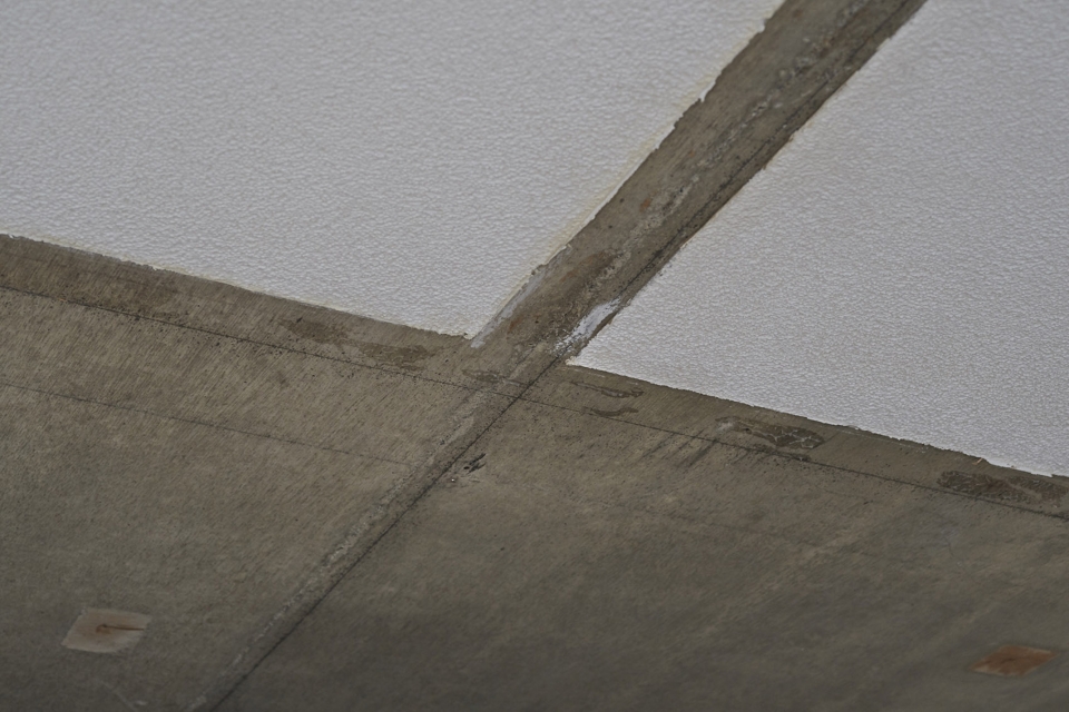 house of wind and light by office shogo onodera