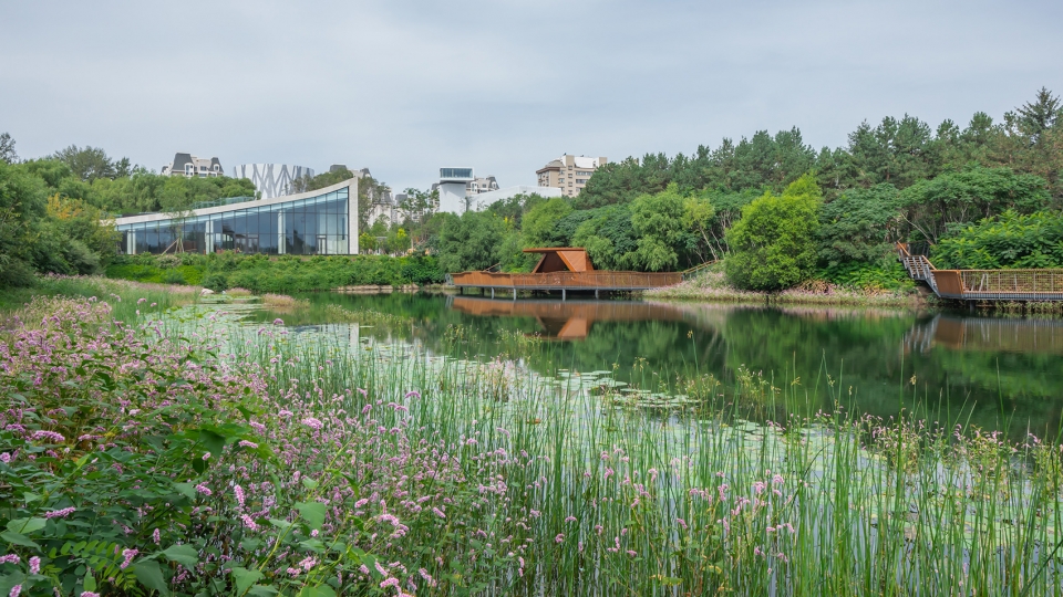 changchun culture ecology park china by wr group