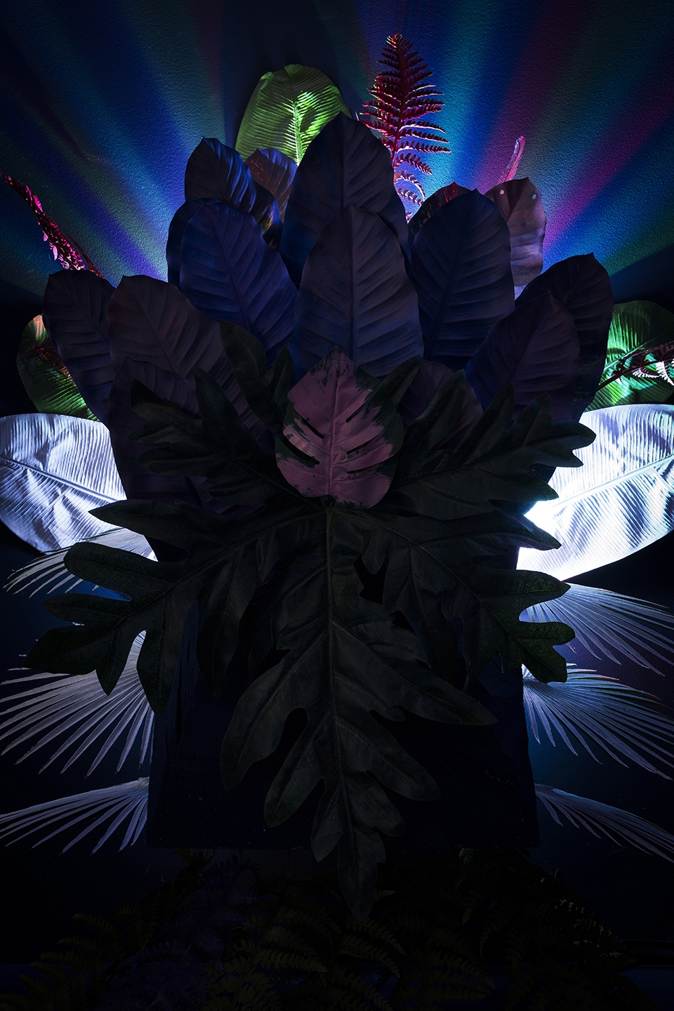 demain le vaisseau chimere by ggsv studio