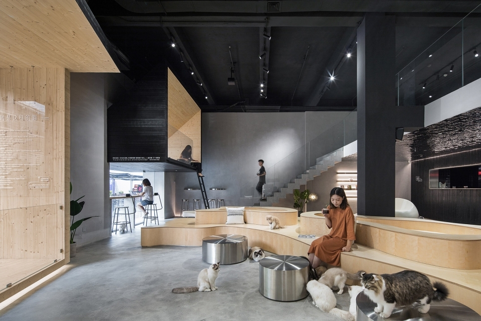 多功能活动区 Meow Restaurant E Studio 960x640