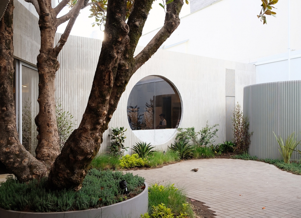 new restaurant for masa by studio cadena