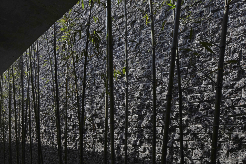 gooood interview liu jiakun rebirth brick1