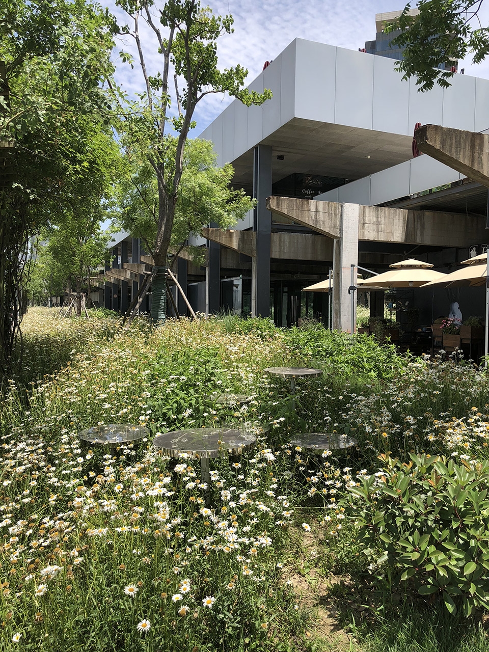 moma museum waterfront park yiyu design