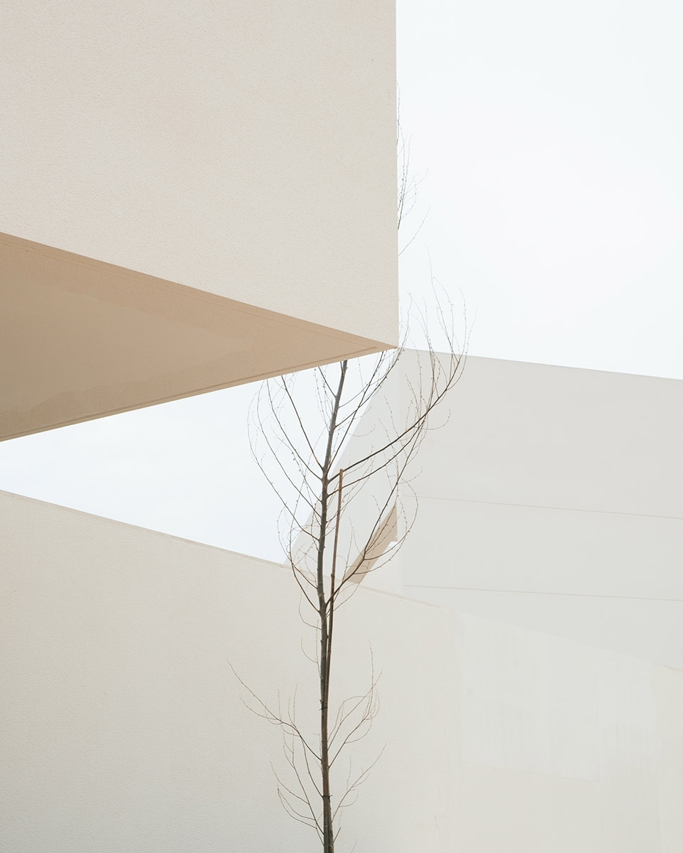 mirasal housing by balzar arquitectos julia alcocer