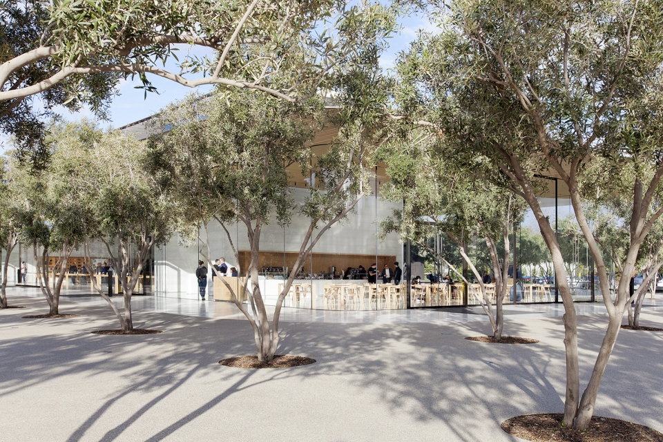 apple park visitor center by foster partners
