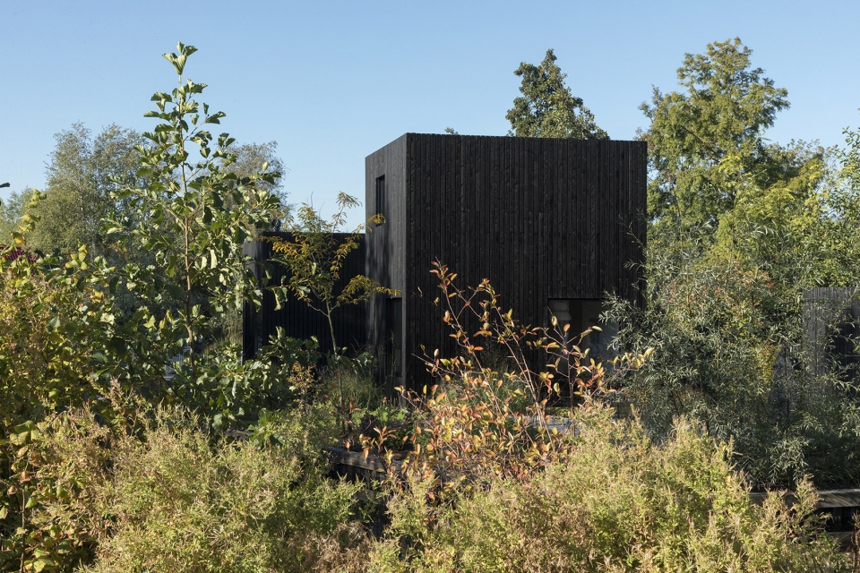 tiny holiday home by i29 and chris collaris