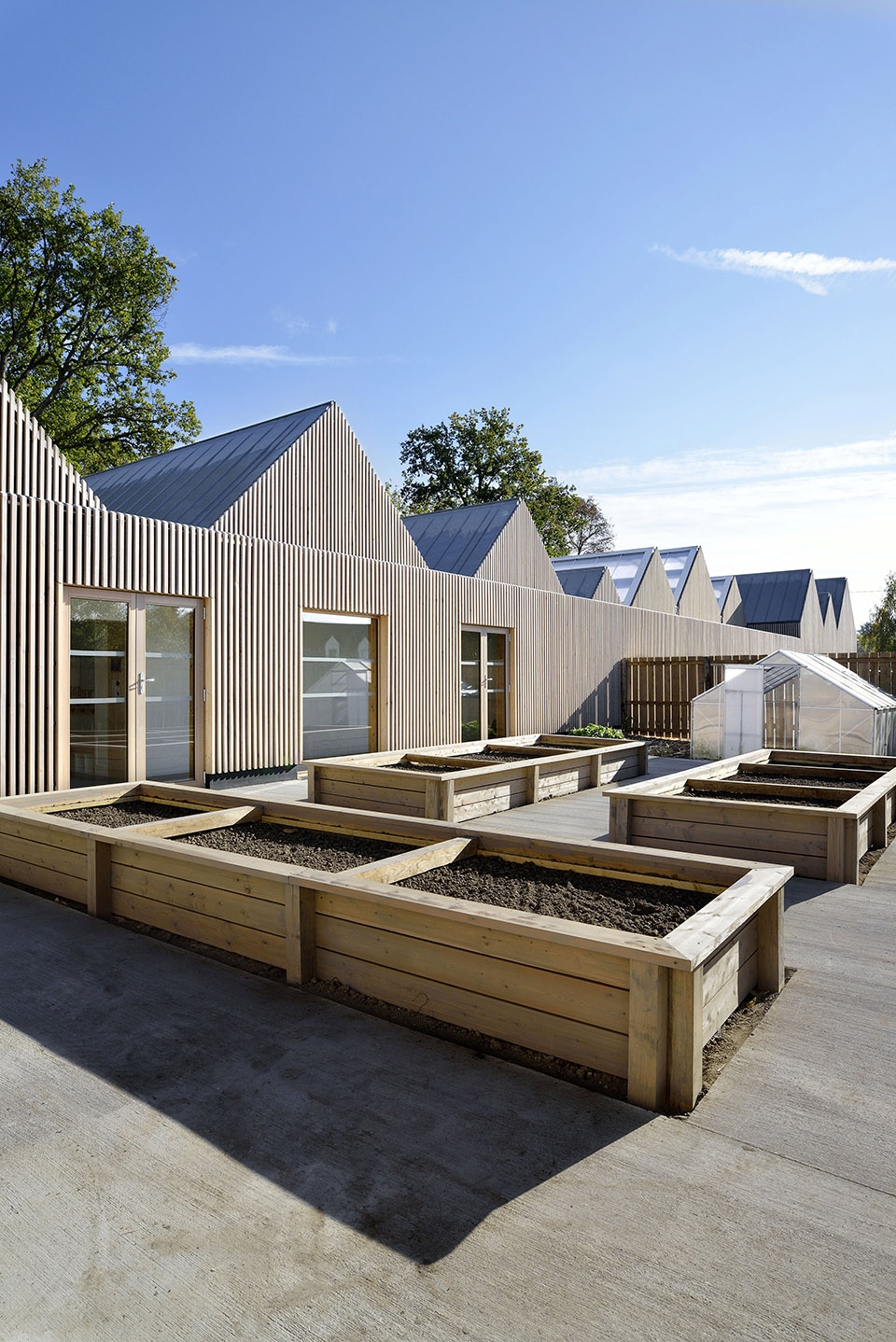 school la ruche by tracks