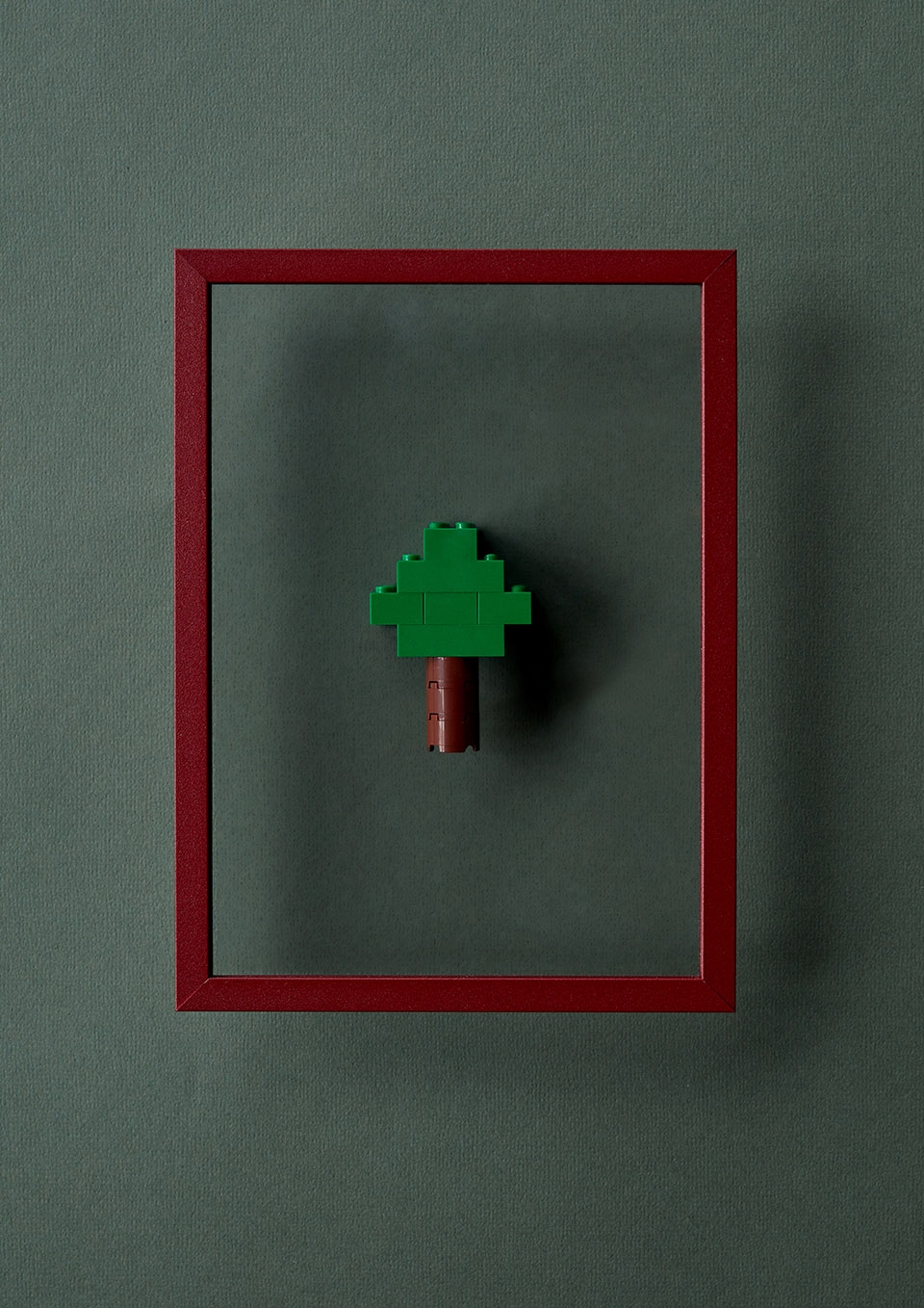 frame in colour by moebe