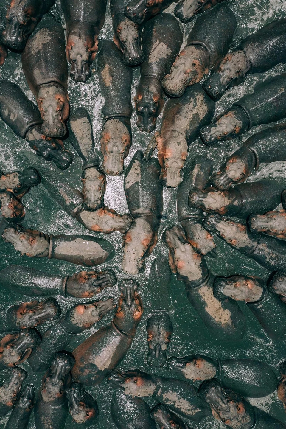 Photography series by Martin Sanchez