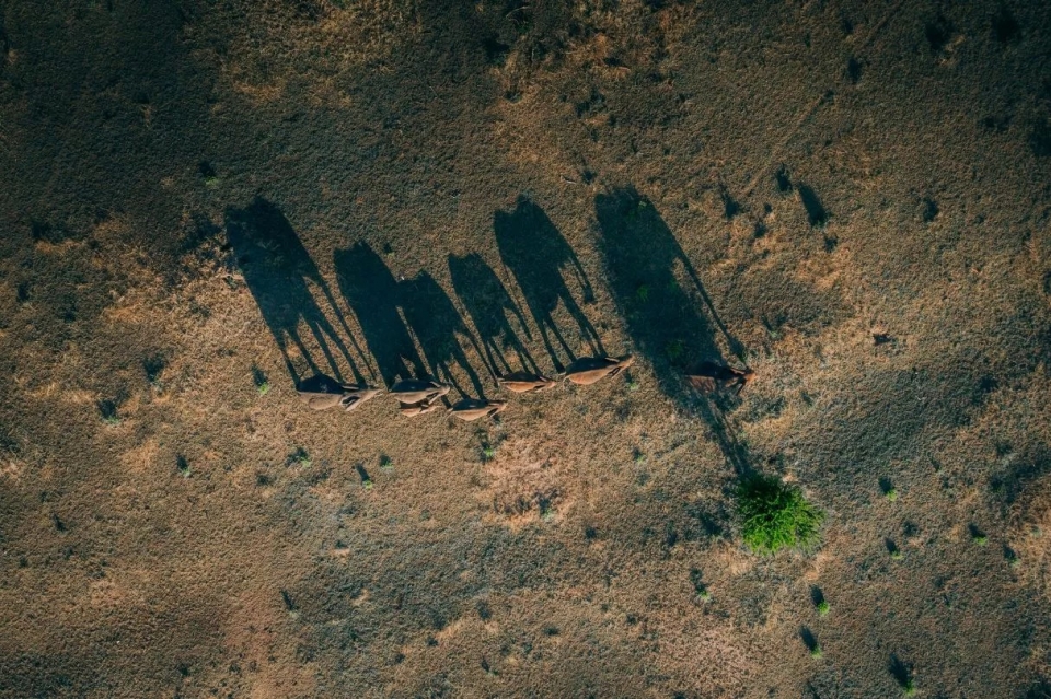 Photography series by Martin Sanchez