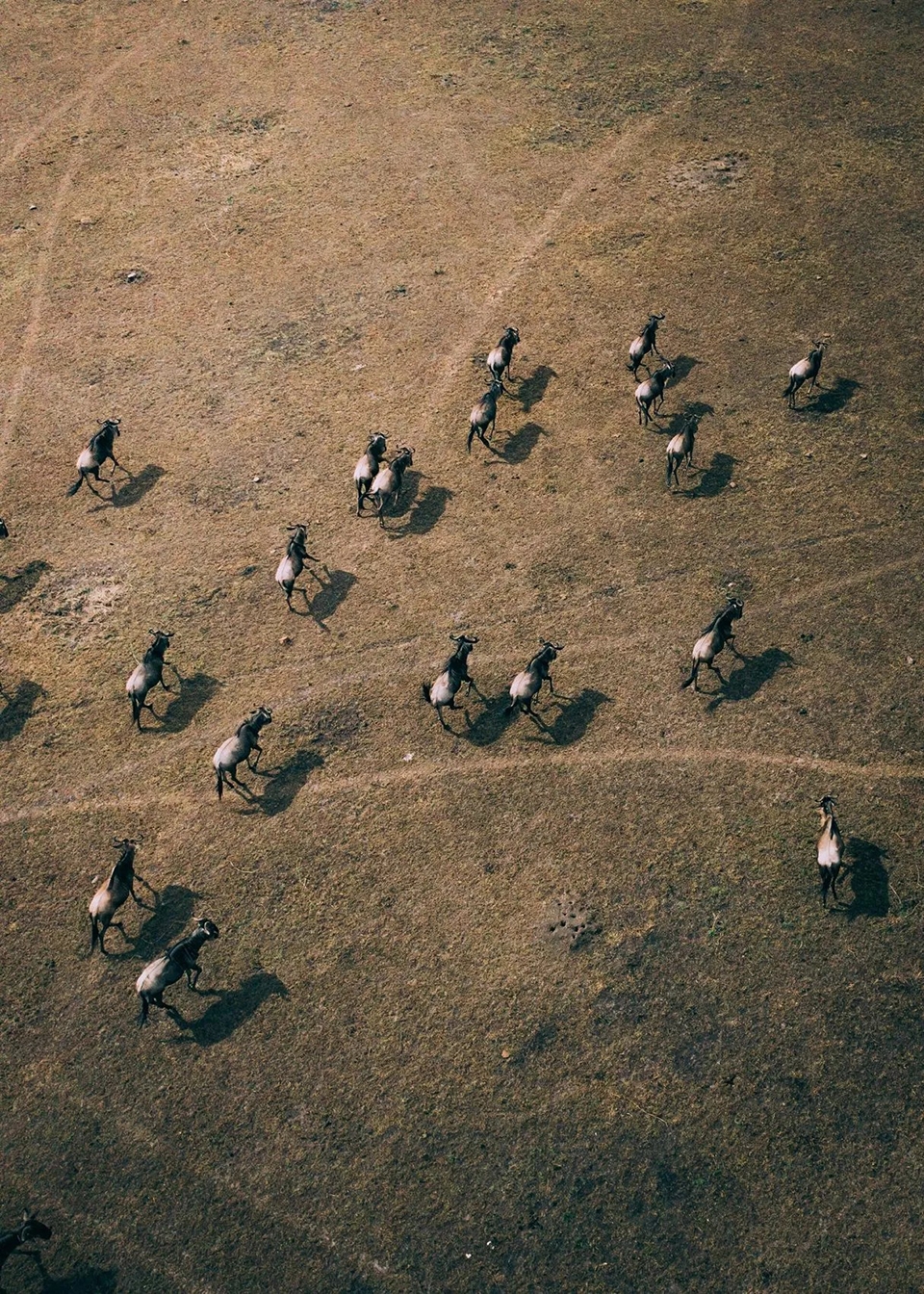 Photography series by Martin Sanchez