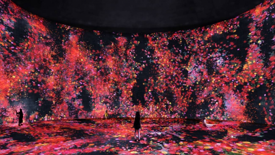 teamlab universe of water particles in the tank