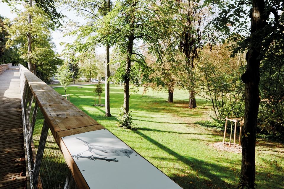 urban ramp by espace libre