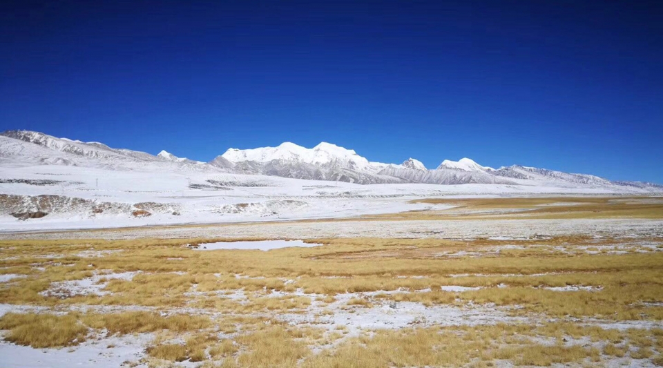 traveler black tent in yangbajing china by pure