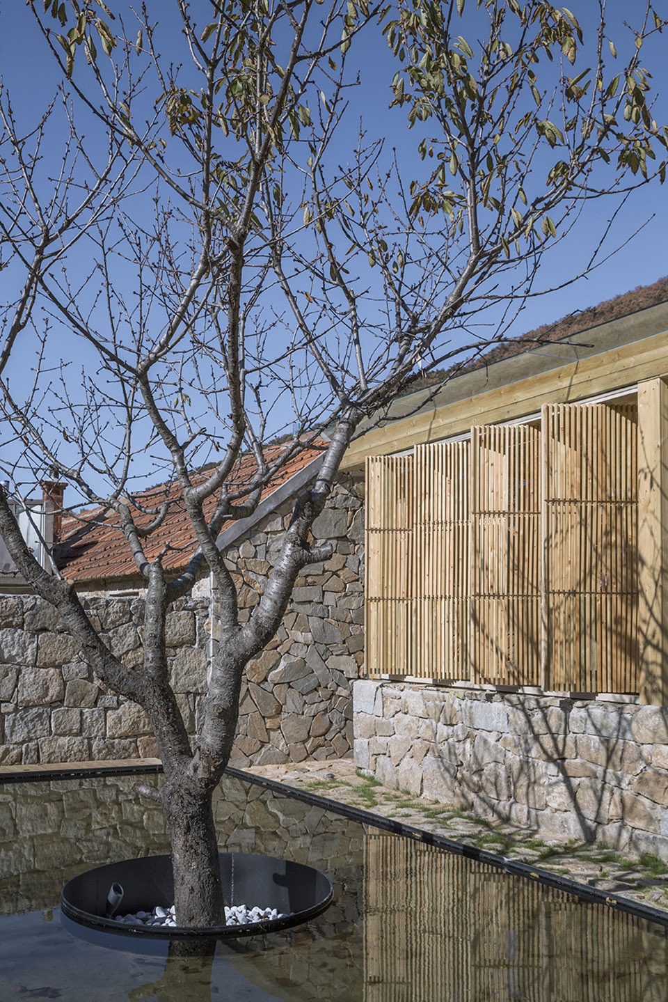 persimmon garden in wangjiatuan village china by 3andwich design he wei studio