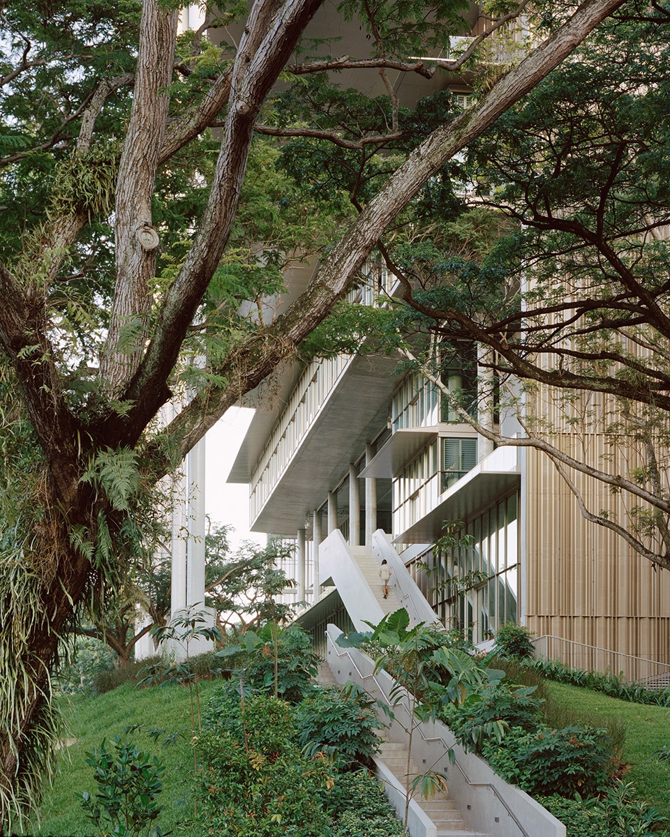 the new nus school of design environment 4 by serie architects multiply architects