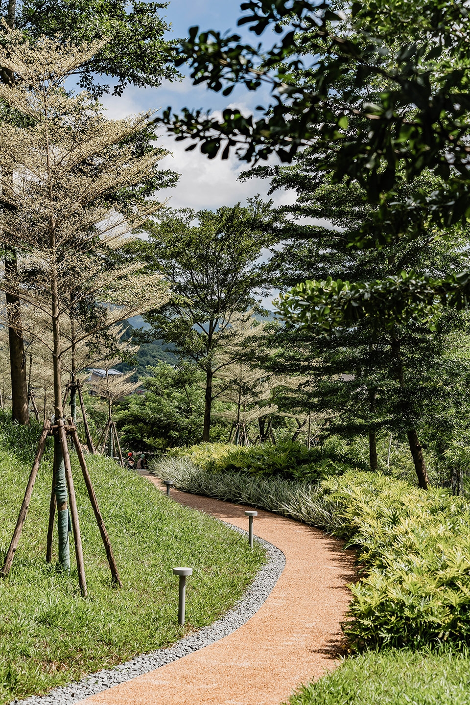 sanya forest wetland park locus associates