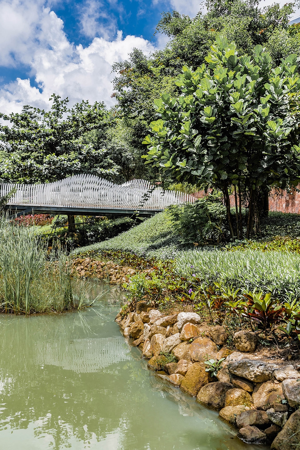 sanya forest wetland park locus associates