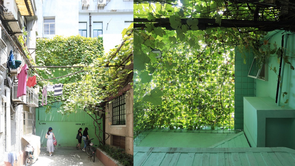 micro regeneration projects in west guizhou lilong china by tm studio